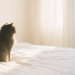 山下美月1st写真集『忘れられない人』が“エモすぎる”理由｜乃木坂46ファン必見の傑作