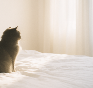 山下美月1st写真集『忘れられない人』が“エモすぎる”理由|乃木坂46ファン必見の傑作